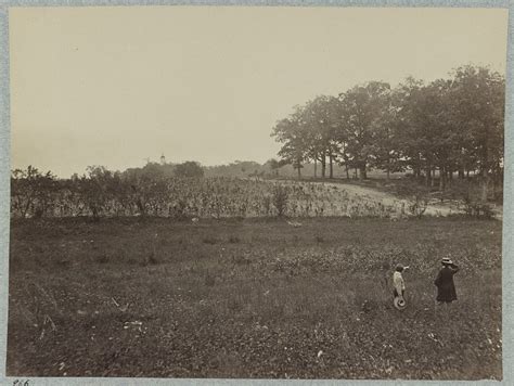 Mcpherson Farm Mathew Brady July 1863 Between East And West