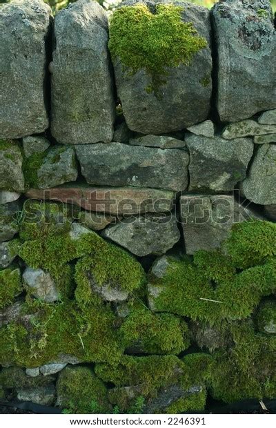 Moss Covered Stone Wall Stock Photo Edit Now 2246391