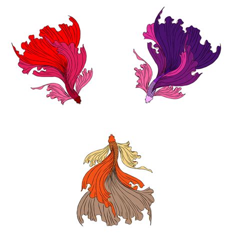 Betta Fish Png Isolated Hd Png Mart