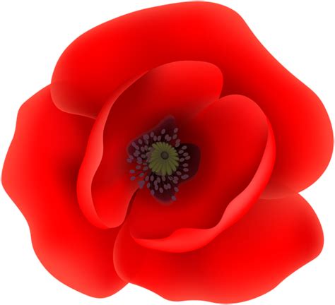 Patriotic Images Clip Art Library Poppies Tattoo Image Transparent