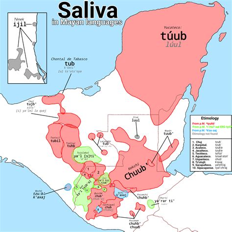 Etymology Map For Saliva In Mayan Languages Rmayan