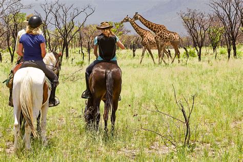 Big Five Horseback Safari In South Africa Equus Journeys