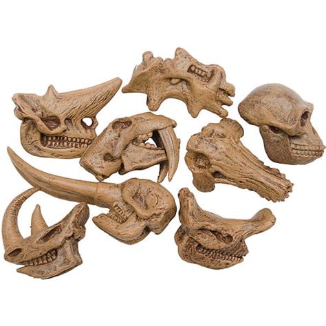 Safari Ltd Prehistoric Mammal Skulls Toob
