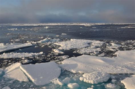 Arctic Winter Sea Ice In 2021 Joint Seventh Lowest On Record Finds Nasa