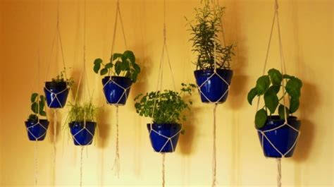 How To Make Your Own Indoor Hanging Herb Garden Foxy Folksy