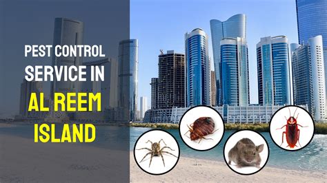 In thane, is an innovative pest control solutions provider with an edge. Al Reem Island Pest Control Service (2020)