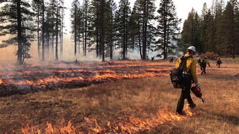Prescribed Fire And Cultural Burning Training Sierra Nevada Conservancy