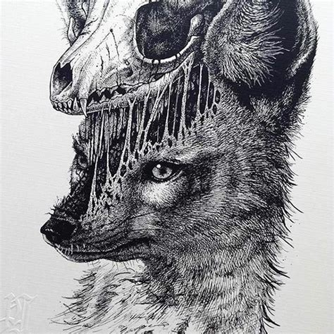 Fox Skull Animal Skull Drawing Dark Drawings Skulls Drawing