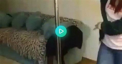 Stripper Kitty  On Imgur