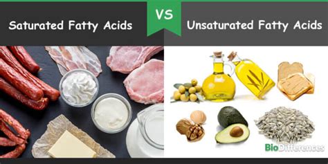 Difference Between Saturated And Unsaturated Fatty Acids Bio Differences