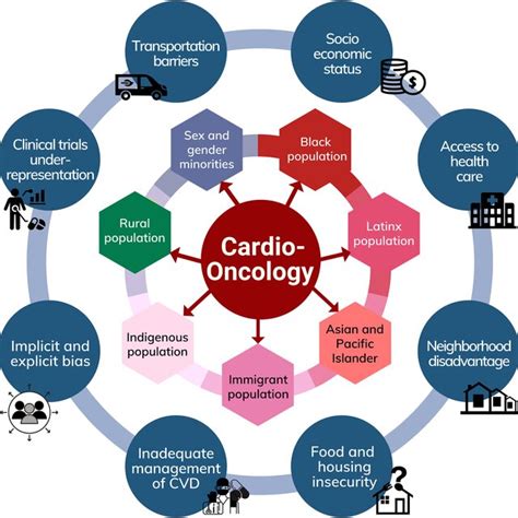 Factors Contributing To Disparities In Cardio Oncology And Populations