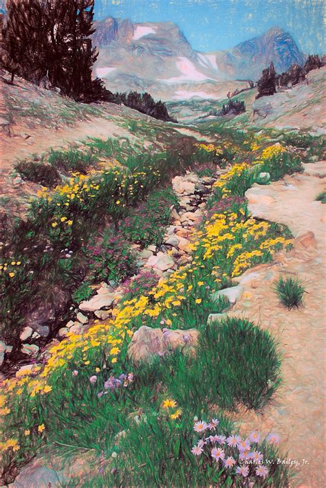 Digital Color Pencil Drawing Of Paintbrush Canyon Public D Flickr