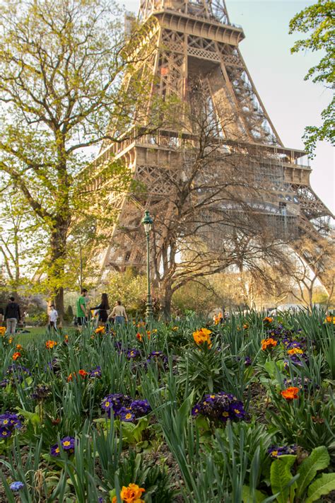 What To Do At The Eiffel Tower Gardens Flowers Photos Fun