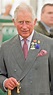 5 déclarations choc sur le prince Charles dans Rebel Prince - E! Online ...