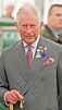 5 Bombshell Claims About Prince Charles in Rebel Prince | E! News