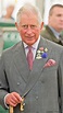 5 Bombshell Claims About Prince Charles in Rebel Prince | E! News