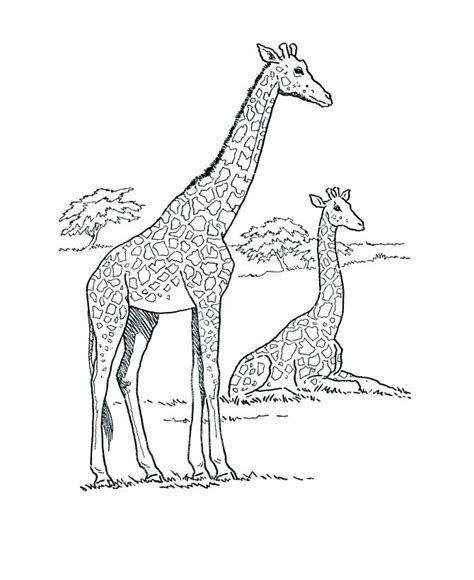 African savanna by pim niesten. Savanna Animals Coloring Pages at GetColorings.com | Free ...
