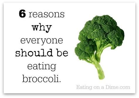 Is Broccoli Healthy Check Out These Reasons On Why You Should Eat Broccoli And Why Everyone