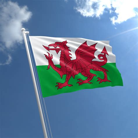 Wales Flag Buy Flag Of Wales The Flag Shop