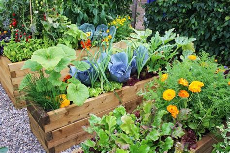 Kitchen Garden Summer In 2020 Garden Layout Vegetable Vegetable