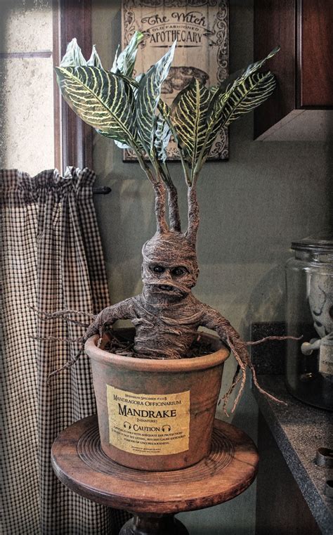 Harry Potter Plants That Scream