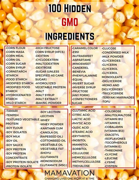 100 Hidden Gmo Ingredients Look For Them Dont Buy Products That