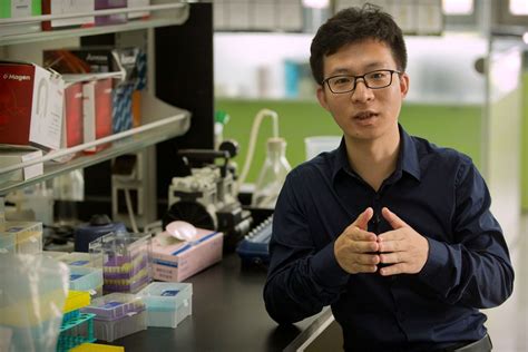 Ap Exclusive First Gene Edited Babies Claimed In China
