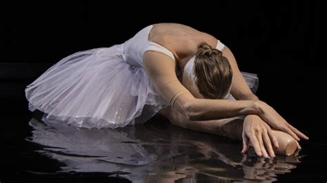dying swan on the water ballet on film youtube