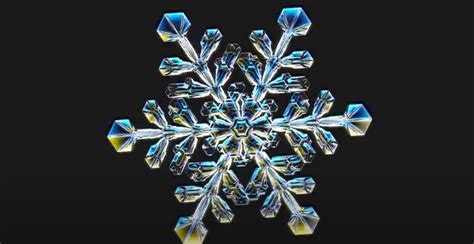 Snowflake Science The Snowflake Mystery Video Off Piste Magazine
