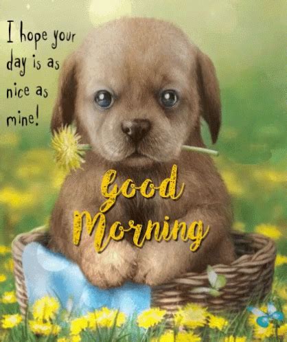 Good Morning Puppy Gif Goodmorning Puppy Cute Discover Share Gifs