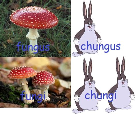 30 Hilarious Big Chungus Memes Big Fat Bugs Bunny Is Here To Stay