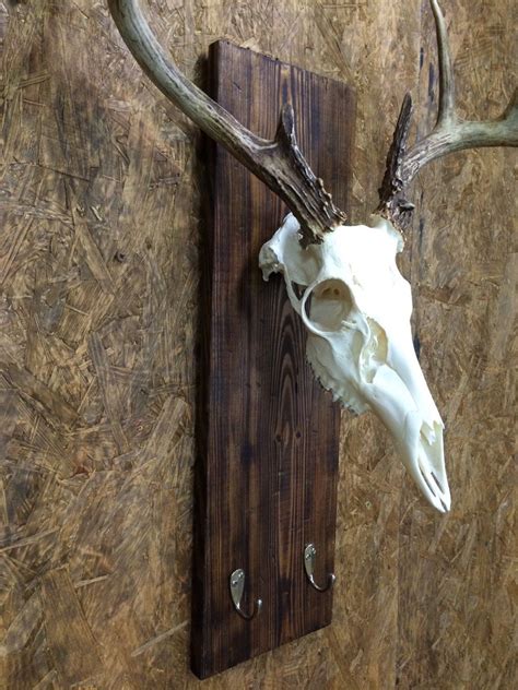 Beautiful Burnt Pine Skull Mount Hanger Skull Mount Plaque Skull