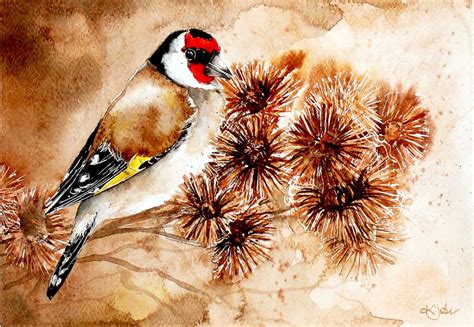 Goldfinch Watercolor Painting Artfinder