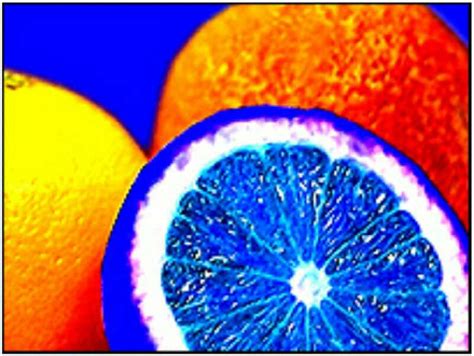 Joshb Graphic Design Blue And Orange