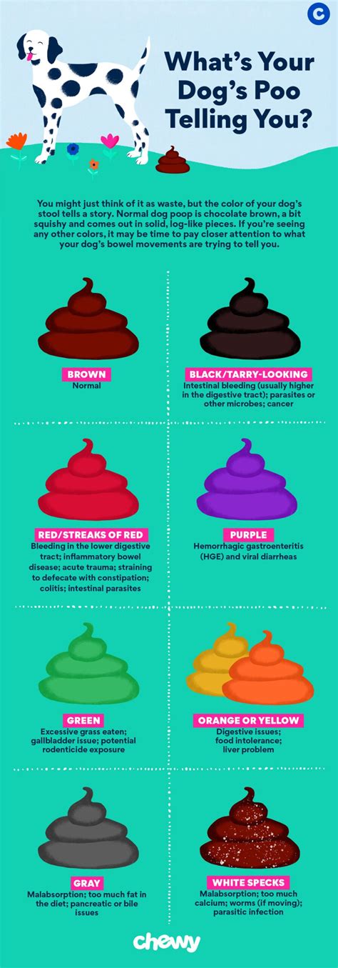 Poop Color Meaning Chart