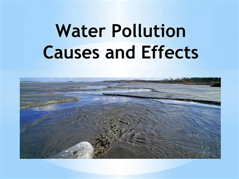 Water Pollution Causes And Effects By Narendra Singh Plaha Issuu