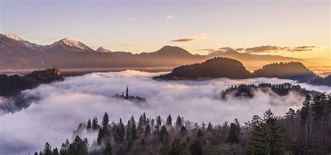 Hd Wallpaper Nature Mountain Dense Spruce Forest River