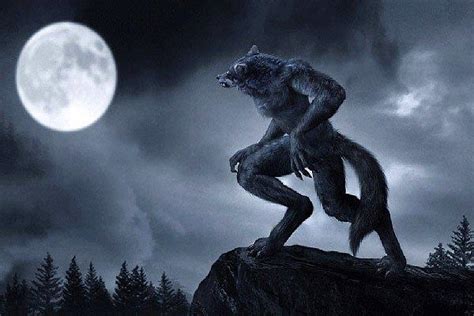 Werewolf Transformation Stories Naked Datawav Hot Sex Picture