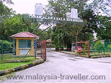 Photos of eyes photo nature photographs aerial view drone photography world photo birds eye national geographic travel around the world. Kuala Selangor Nature Park, Selangor - Taman Alam