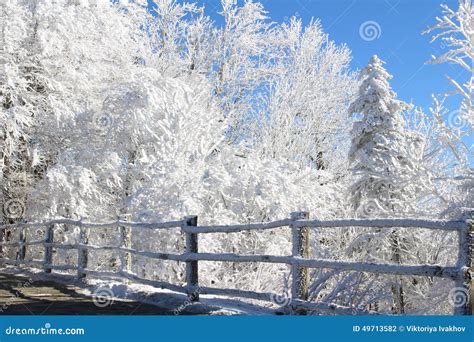 Winter Wonderland Stock Photo Image Of Fresh Winter 49713582