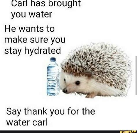 Carl Has Brought You Water He Wants To Make Sure You Stay Hydrated