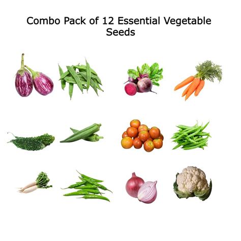 Combo Pack Of Essential Vegetabal Seeds Pack Of 12 Nativeindian Organics