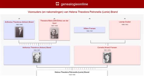 Helena Theodora Petronella Lenie Brand 1929 1990 Stamboom