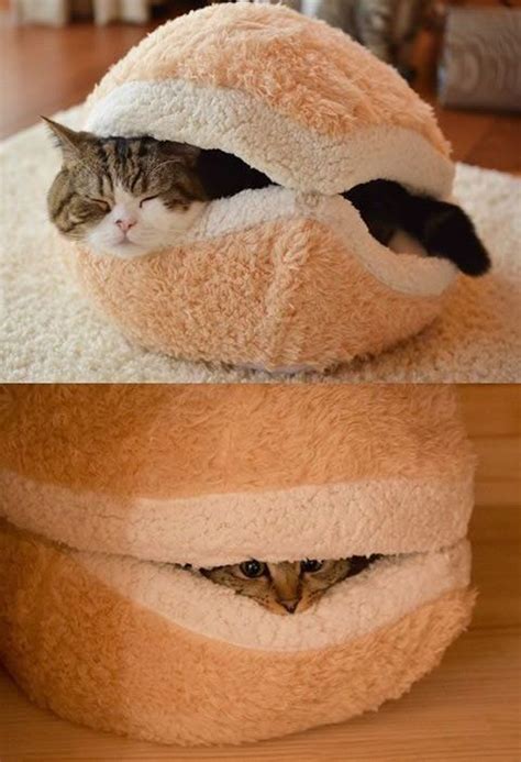 25 Warm And Cozy Cat Beds Homemydesign