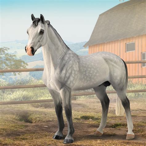 Collecta Hanoverian Stallion Dappled Grey Animal Kingdoms Toy Store