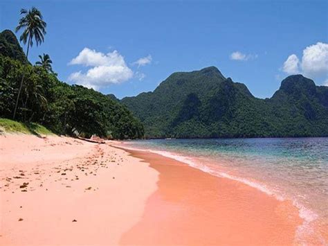 Best Beaches In Venezuela Daring Planet