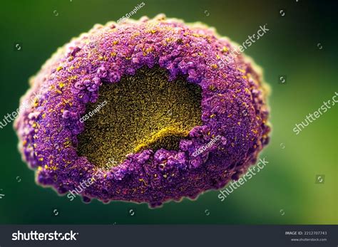 Pollen Under Microscope Allergy Season Hay Stock Illustration