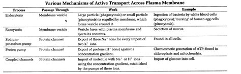 Transport In Plants Revision Notes For Neet Entrance Exam Vrogue