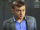 Martin Milner Dead: Adam 12, Route 66 Star Was 83 : People.com