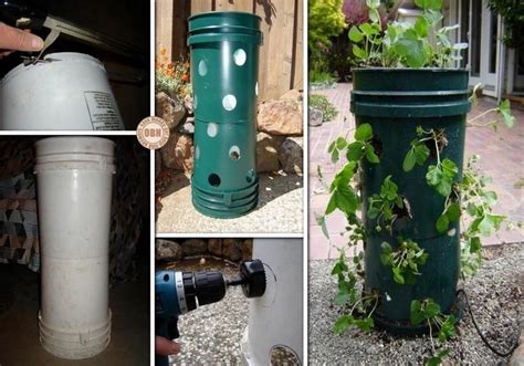 Diy 5 Gallon Bucket Strawberry Tower Survival Gardening Container